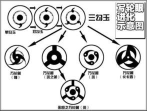 写轮眼图片大全,探寻神秘瞳术的奇幻世界