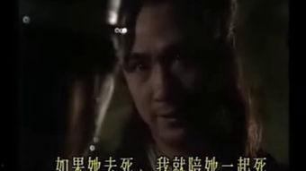 战火羔羊完整版国语,烽火岁月里的青春传奇