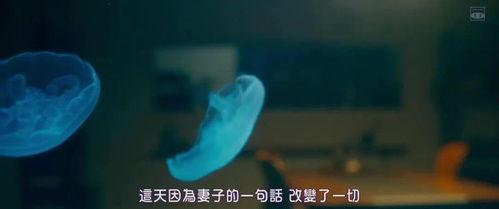 日本电影体温,探寻日本社会脉动的温情叙事
