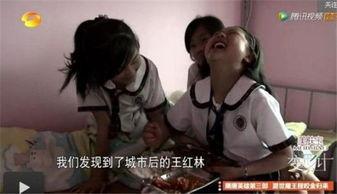 变形记王红林在线观看,探寻人性与命运的交织