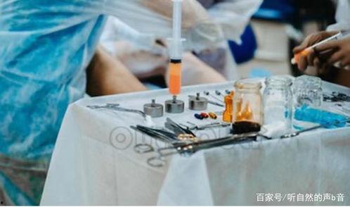 脂肪垫图片,揭秘人体内的“软垫”功能与作用