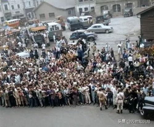 犯人拍照图片大全