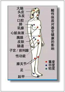 脚代表的器官图片大全,揭秘足部健康与功能奥秘