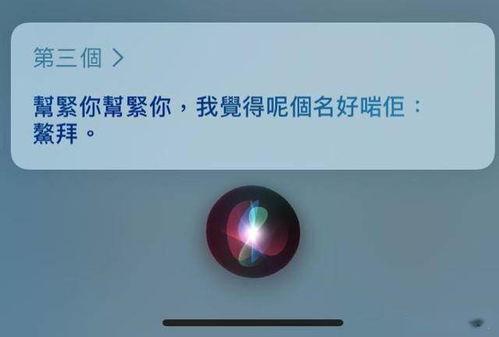 siri搞笑视频,智能助手变身喜剧大师，笑料百出！