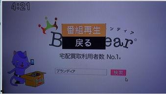 日本电视节目收费吗,免费还是付费之谜