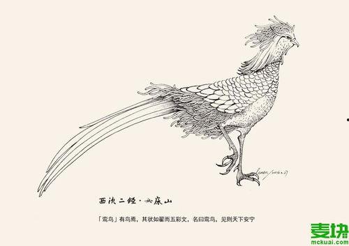 鸾鸟图片,探寻古代神话中的神秘象征