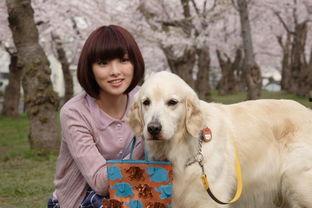 日本狗狗电影,日本温情狗狗电影的温馨瞬间