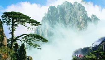 安徽黄山特产图片大全,黄山特产品鉴之旅