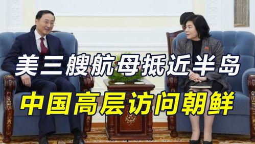 日本访华视频,日本访华视频见证中日文化交流
