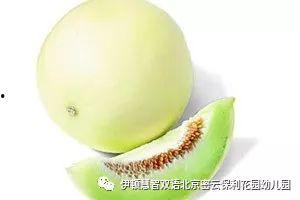 今日白兰瓜价格,市场波动下的甜蜜诱惑