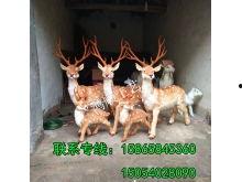 创意鹿图片大全,自然与艺术的完美融合