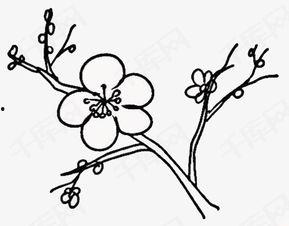 梅花简笔画图片大全,描绘冬日傲骨，传承国花风采