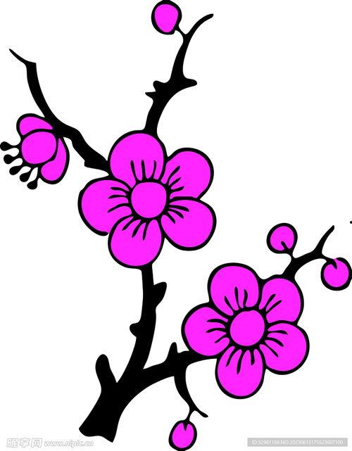 梅花简笔画图片大全,描绘冬日傲骨，传承国花风采