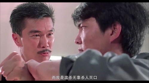 元彪执法先锋国语,执法先锋，正义与勇气的守护者