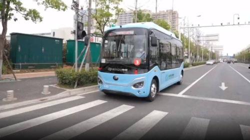 公交视频,公交视频里的城市生活剪影