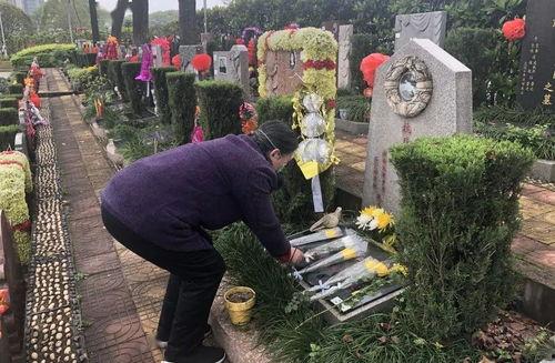 扫墓视频,扫墓视频中的温情瞬间
