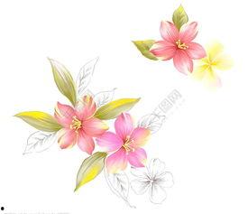 漂亮的花图片,探寻花海中的视觉盛宴