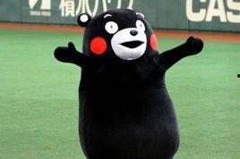日本黑色的熊叫什么,日本黑色熊的传奇故事