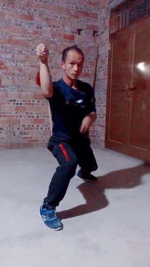 虎鹤双形拳电影国语版,拳影交织，热血沸腾的武侠传奇