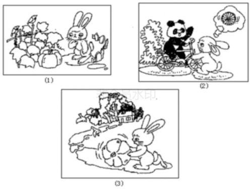 一年级看图写话图片大全,童趣盎然，描绘多彩世界