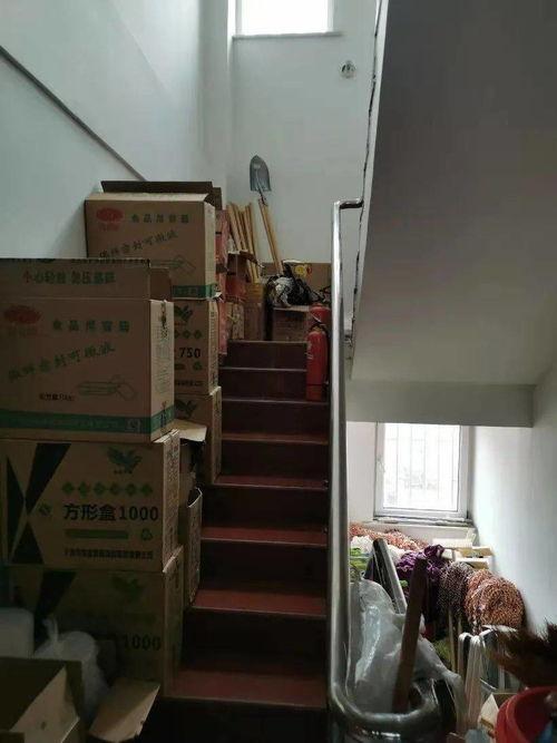 图片曝光,图片曝光背后的惊人真相