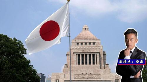 日本联合国,历史与现状概览”