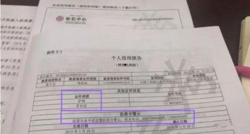 征信报告图片,揭示个人信用状况全貌