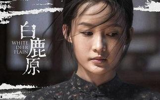 白鹿原电视剧在线观看完整版免费,免费在线观看，揭秘百年家族风云
