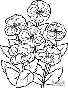 花朵画画图片大全,缤纷色彩绘就自然之美