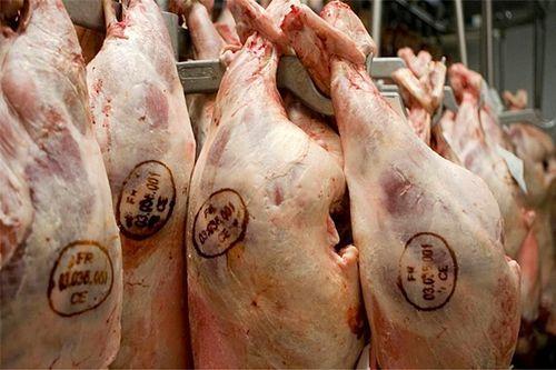 猪肉的图片大全,各式猪肉佳肴大盘点