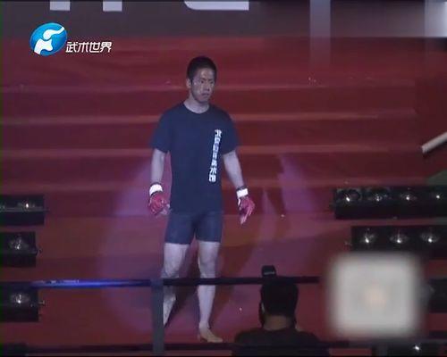 武林风走进韩国首尔,中华武术魅力绽放