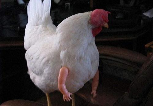 男人的鸡把图片大全,男性生殖器官图片集锦解析