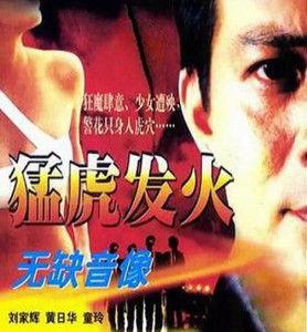 国语电影猛虎发火,热血沸腾的国产动作巨制