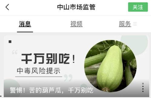 吃带黑条纹的瓜中毒,揭秘食用风险与防范措施