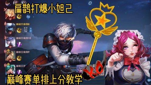 扁鹊视频教学,中医养生智慧传承