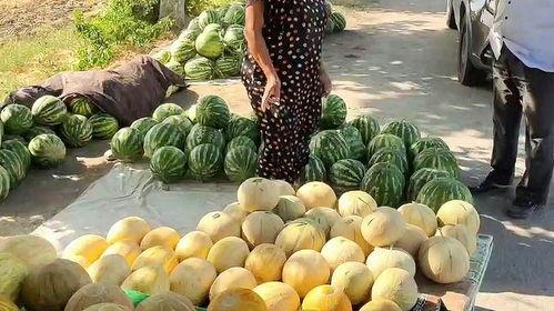 瓜哥今日吃瓜热门