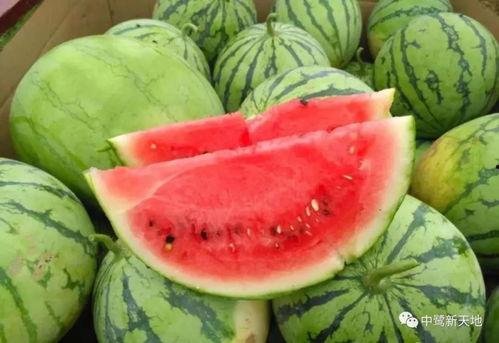 瓜哥今日吃瓜热门