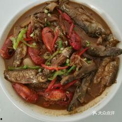 小杂鱼图片,自然水域中的灵动身影