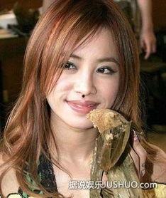 韩国 蔡依林,跨越国界的音乐传奇