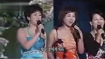 2014韩国歌谣盛,璀璨星河下的音乐狂欢