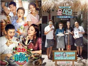 2017韩国最新综艺,年度热门节目大盘点