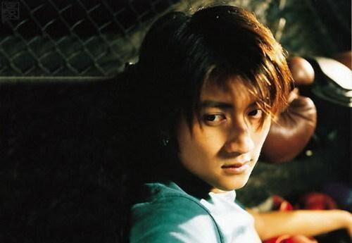 谢霆锋在日本,美食探索与文化交流之旅