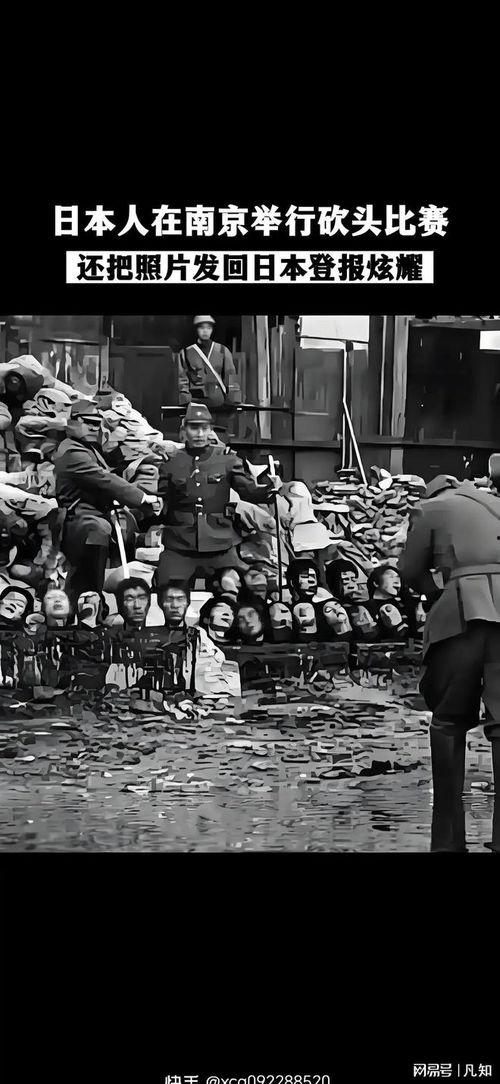 杀人娃娃日本,日本杀人娃娃事件的惊悚揭秘