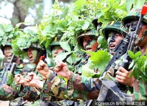 韩国野战图片,紧张刺激的实战演练全景扫描