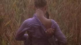 人与妖精床戏,禁忌之恋的床榻秘闻