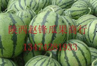 桂林市今日哈密瓜批发价