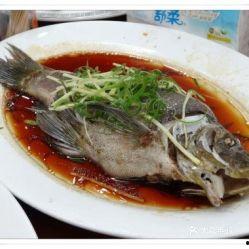 丁桂鱼图片大全,探寻水中精灵的优雅与魅力