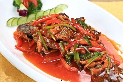 丁桂鱼图片大全,探寻水中精灵的优雅与魅力