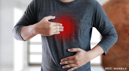 腹痛视频,常见症状背后的健康信号