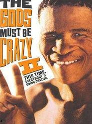 上帝也疯狂2国语下载,笑破天穹，再续奇迹之旅